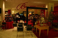 Canon EOS DIGITAL REBEL, 2009:11:21 18:17:30 -- 1/40 sec, f/4.0.  No Flash.3072x2048 Off.