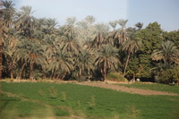 Canon EOS 5D Mark II, 2009:12:23 02:12:57 -- 1/125 sec, f/5.0.  No Flash, Compulsory.5616x3744 Off.