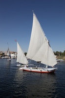 Canon EOS 5D Mark II, 2009:12:23 02:55:22 -- 1/250 sec, f/11.0.  No Flash, Compulsory.5616x3744 Off.