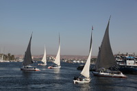 Canon EOS 5D Mark II, 2009:12:23 02:56:24 -- 1/400 sec, f/9.0.  No Flash, Compulsory.5616x3744 Off.