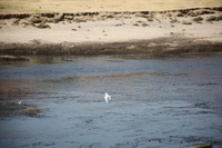 Canon EOS 5D Mark II, 2009:12:23 05:49:49 -- 1/320 sec, f/6.3.  No Flash, Compulsory.5616x3744 Off.