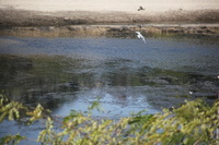 Canon EOS 5D Mark II, 2009:12:23 05:49:54 -- 1/320 sec, f/6.3.  No Flash, Compulsory.5616x3744 Off.