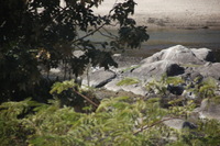 Canon EOS 5D Mark II, 2009:12:23 05:50:01 -- 1/320 sec, f/6.3.  No Flash, Compulsory.5616x3744 Off.