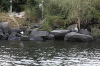 Canon EOS 5D Mark II, 2009:12:23 09:52:50 -- 1/100 sec, f/4.0.  No Flash, Compulsory.5616x3744 Off.