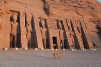 Canon EOS 5D Mark II, 2009:12:23 23:44:24 -- 1/60 sec, f/5.6.  No Flash, Compulsory.5616x3744 Off.