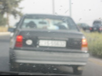 Canon PowerShot A590 IS, 2010:04:10 08:37:55 -- 1/250 sec, f/5.5.  No Flash, Auto.3264x2448 Red-Eye Reduction (Auto).