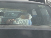 Canon PowerShot A590 IS, 2010:04:10 08:38:01 -- 1/250 sec, f/5.5.  No Flash, Auto.3264x2448 Red-Eye Reduction (Auto).