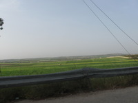 Canon PowerShot A590 IS, 2010:04:10 08:48:45 -- 1/640 sec, f/4.0.  No Flash, Auto.3264x2448 Red-Eye Reduction (Auto).