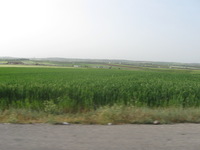 Canon PowerShot A590 IS, 2010:04:10 08:48:50 -- 1/400 sec, f/4.0.  No Flash, Auto.3264x2448 Red-Eye Reduction (Auto).