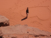 Canon PowerShot A590 IS, 2010:04:13 10:38:38 -- 1/640 sec, f/5.5.  No Flash, Auto.3264x2448 Red-Eye Reduction (Auto).