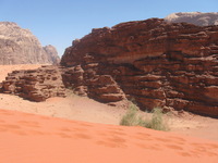 Canon PowerShot A590 IS, 2010:04:13 11:03:33 -- 1/640 sec, f/4.0.  No Flash, Auto.3264x2448 Red-Eye Reduction (Auto).