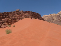 Canon PowerShot A590 IS, 2010:04:13 11:05:45 -- 1/1000 sec, f/4.0.  No Flash, Auto.3264x2448 Red-Eye Reduction (Auto).