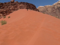 Canon PowerShot A590 IS, 2010:04:13 11:05:49 -- 1/1000 sec, f/4.5.  No Flash, Auto.3264x2448 Red-Eye Reduction (Auto).