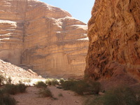 Canon PowerShot A590 IS, 2010:04:13 14:12:53 -- 1/250 sec, f/4.0.  No Flash, Auto.3264x2448 Red-Eye Reduction (Auto).