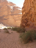 Canon PowerShot A590 IS, 2010:04:13 14:12:59 -- 1/200 sec, f/4.0.  No Flash, Auto.3264x2448 Red-Eye Reduction (Auto).