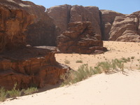 Canon PowerShot A590 IS, 2010:04:13 14:38:09 -- 1/800 sec, f/4.0.  No Flash, Auto.3264x2448 Red-Eye Reduction (Auto).