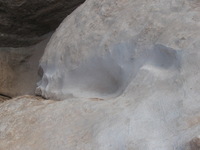 Canon PowerShot A590 IS, 2010:04:13 17:54:41 -- 1/160 sec, f/4.0.  No Flash, Auto.3264x2448 Red-Eye Reduction (Auto).