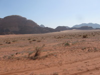 Canon PowerShot A590 IS, 2010:04:14 09:31:18 -- 1/1000 sec, f/4.0.  No Flash, Auto.3264x2448 Red-Eye Reduction (Auto).