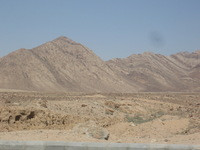 Canon PowerShot A590 IS, 2010:04:14 10:22:37 -- 1/1000 sec, f/5.0.  No Flash, Auto.3264x2448 Red-Eye Reduction (Auto).