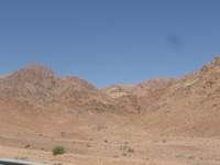 Canon PowerShot A590 IS, 2010:04:14 10:26:01 -- 1/1000 sec, f/4.0.  No Flash, Auto.3264x2448 Red-Eye Reduction (Auto).