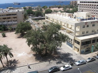 Canon PowerShot A590 IS, 2010:04:14 12:12:38 -- 1/800 sec, f/4.0.  No Flash, Auto.3264x2448 Red-Eye Reduction (Auto).