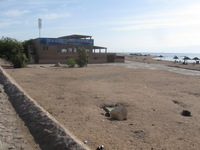 Canon PowerShot A590 IS, 2010:04:15 16:54:50 -- 1/1000 sec, f/4.0.  No Flash, Auto.3264x2448 Red-Eye Reduction (Auto).