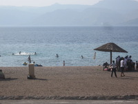 Canon PowerShot A590 IS, 2010:04:15 16:55:01 -- 1/640 sec, f/5.5.  No Flash, Auto.3264x2448 Red-Eye Reduction (Auto).