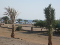 Canon PowerShot A590 IS, 2010:04:15 17:08:58 -- 1/400 sec, f/5.5.  No Flash, Auto.3264x2448 Red-Eye Reduction (Auto).