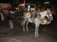 Canon PowerShot A590 IS, 2010:04:15 21:42:27 -- 1/60 sec, f/2.6.  Flash, Auto, Red-Eye Reduce.3264x2448 Red-Eye Reduction (Auto).