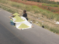 Canon PowerShot A590 IS, 2010:04:16 12:48:45 -- 1/250 sec, f/4.0.  No Flash, Auto.3264x2448 Red-Eye Reduction (Auto).