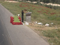 Canon PowerShot A590 IS, 2010:04:16 12:49:05 -- 1/320 sec, f/4.0.  No Flash, Auto.3264x2448 Red-Eye Reduction (Auto).