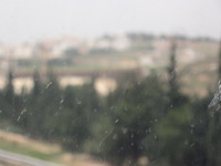 Canon PowerShot A590 IS, 2010:04:16 12:56:57 -- 1/250 sec, f/5.5.  No Flash, Auto.3264x2448 Red-Eye Reduction (Auto).