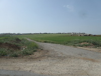 Canon PowerShot A590 IS, 2010:04:16 16:03:37 -- 1/1000 sec, f/4.0.  No Flash, Auto.3264x2448 Red-Eye Reduction (Auto).