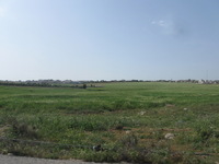 Canon PowerShot A590 IS, 2010:04:16 16:03:43 -- 1/1000 sec, f/4.0.  No Flash, Auto.3264x2448 Red-Eye Reduction (Auto).