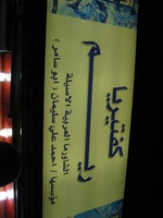 Canon PowerShot SD1100 IS, 2010:04:08 02:08:57 -- 1/400 sec, f/2.8.  No Flash, Compulsory.3264x2448 Off.