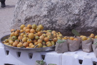 Canon EOS DIGITAL REBEL XSi, 2010:04:08 14:06:10 -- 1/200 sec, f/36.0.  No Flash, Compulsory.3088x2056 Off.