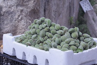 Canon EOS DIGITAL REBEL XSi, 2010:04:08 14:06:14 -- 1/1000 sec, f/14.0.  No Flash, Compulsory.3088x2056 Off.