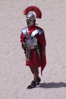 Canon EOS DIGITAL REBEL XSi, 2010:04:08 14:32:18 -- 1/2500 sec, f/16.0.  No Flash, Compulsory.3088x2056 Off.