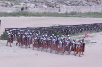 Canon EOS DIGITAL REBEL XSi, 2010:04:08 14:33:28 -- 1/1000 sec, f/11.0.  No Flash, Compulsory.3088x2056 Off.