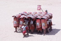 Canon EOS DIGITAL REBEL XSi, 2010:04:08 14:46:05 -- 1/1000 sec, f/14.0.  No Flash, Compulsory.3088x2056 Off.