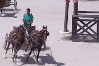 Canon EOS DIGITAL REBEL XSi, 2010:04:08 14:56:53 -- 1/1600 sec, f/16.0.  No Flash, Compulsory.3088x2056 Off.