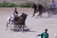 Canon EOS DIGITAL REBEL XSi, 2010:04:08 14:56:53 -- 1/1600 sec, f/16.0.  No Flash, Compulsory.3088x2056 Off.