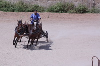 Canon EOS DIGITAL REBEL XSi, 2010:04:08 14:56:55 -- 1/1600 sec, f/16.0.  No Flash, Compulsory.3088x2056 Off.