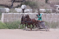 Canon EOS DIGITAL REBEL XSi, 2010:04:08 14:57:22 -- 1/2000 sec, f/14.0.  No Flash, Compulsory.3088x2056 Off.