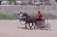 Canon EOS DIGITAL REBEL XSi, 2010:04:08 14:57:23 -- 1/2000 sec, f/16.0.  No Flash, Compulsory.3088x2056 Off.