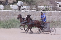 Canon EOS DIGITAL REBEL XSi, 2010:04:08 14:57:24 -- 1/1600 sec, f/14.0.  No Flash, Compulsory.3088x2056 Off.