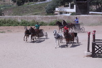 Canon EOS DIGITAL REBEL XSi, 2010:04:08 14:58:15 -- 1/1250 sec, f/18.0.  No Flash, Compulsory.3088x2056 Off.