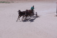 Canon EOS DIGITAL REBEL XSi, 2010:04:08 14:59:29 -- 1/1600 sec, f/20.0.  No Flash, Compulsory.3088x2056 Off.