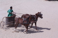 Canon EOS DIGITAL REBEL XSi, 2010:04:08 14:59:32 -- 1/1250 sec, f/18.0.  No Flash, Compulsory.3088x2056 Off.