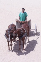 Canon EOS DIGITAL REBEL XSi, 2010:04:08 15:00:49 -- 1/1000 sec, f/16.0.  No Flash, Compulsory.3088x2056 Off.